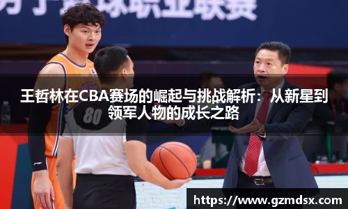 王哲林在CBA赛场的崛起与挑战解析：从新星到领军人物的成长之路